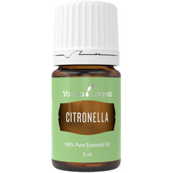 Citronella - Puur olie