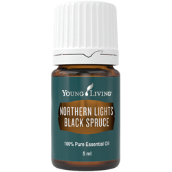 Northern lights shop black spruce