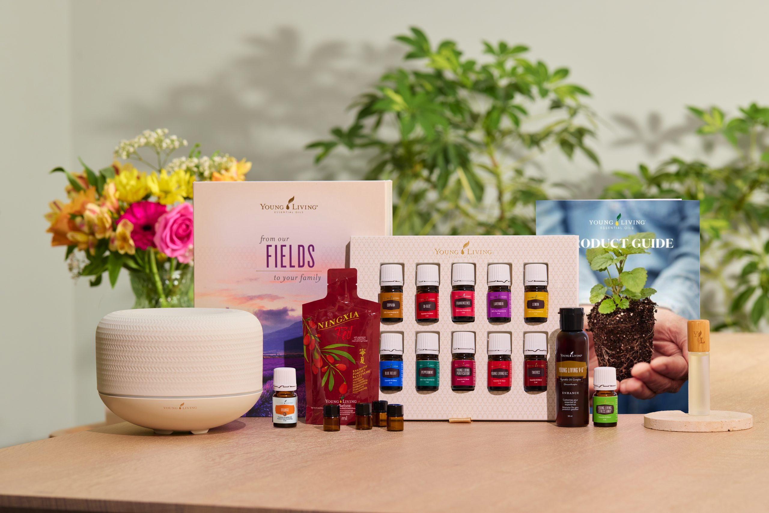 Starterkit met Macaron diffuser 10 % korting en extra oliën