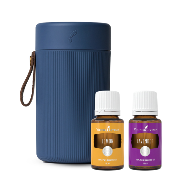 Everyday Favourites Core Starterkit